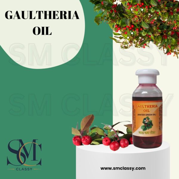 Sm Classy Nilgiris Gaultheria Oil (JOINT PAIN OIL) Winter Green Oil